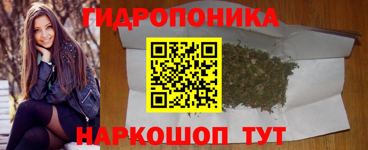 Шишки марихуана планчик Советск